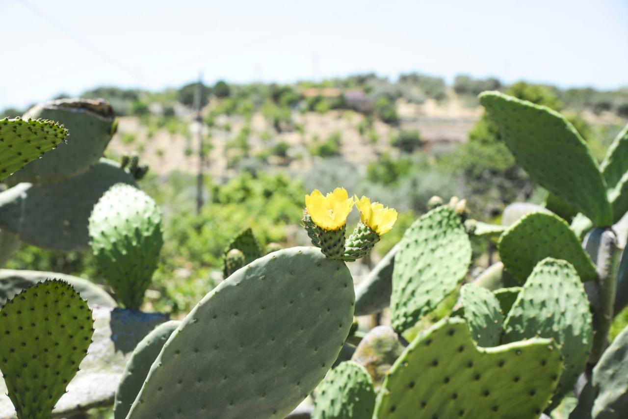 Jardinu Guest House Noto Exterior photo