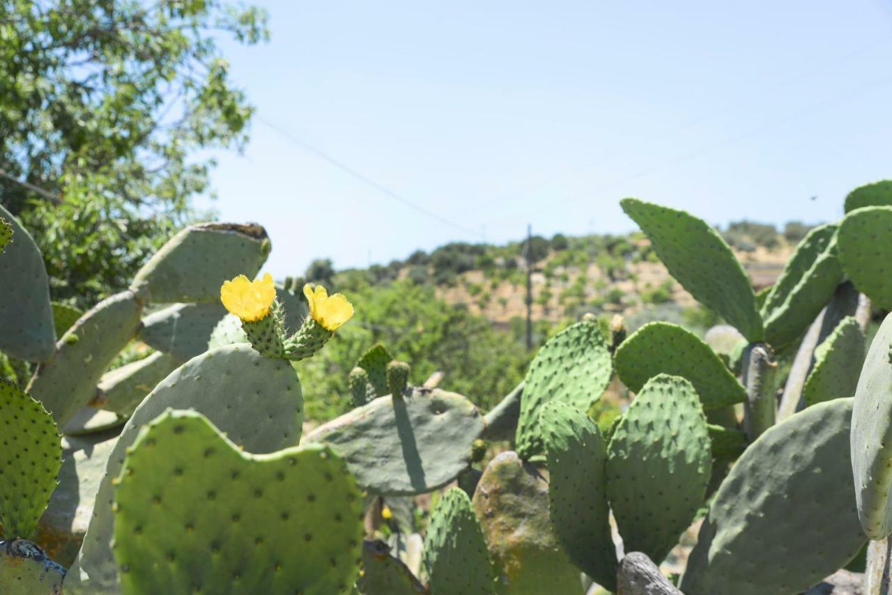Jardinu Guest House Noto Exterior photo
